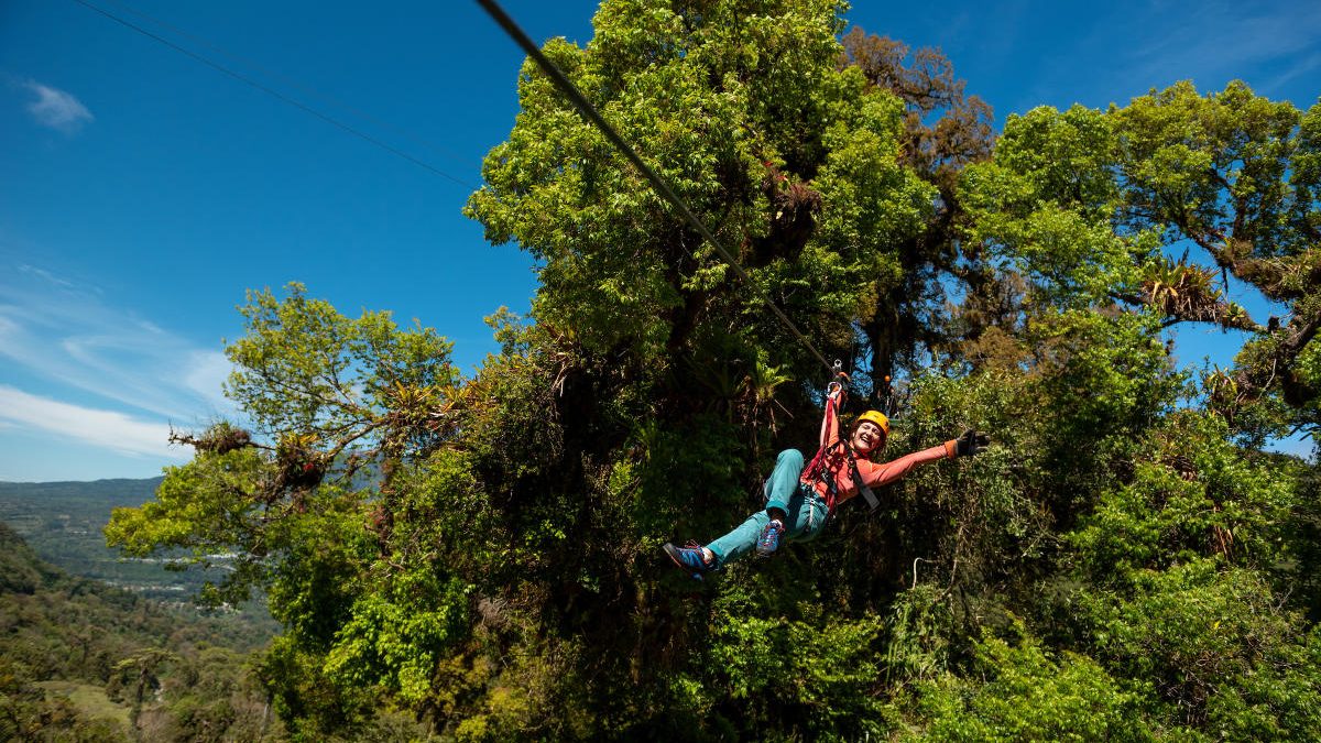 canopy Panama